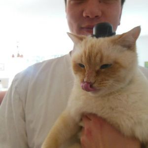 Meet your Posher, Christopher